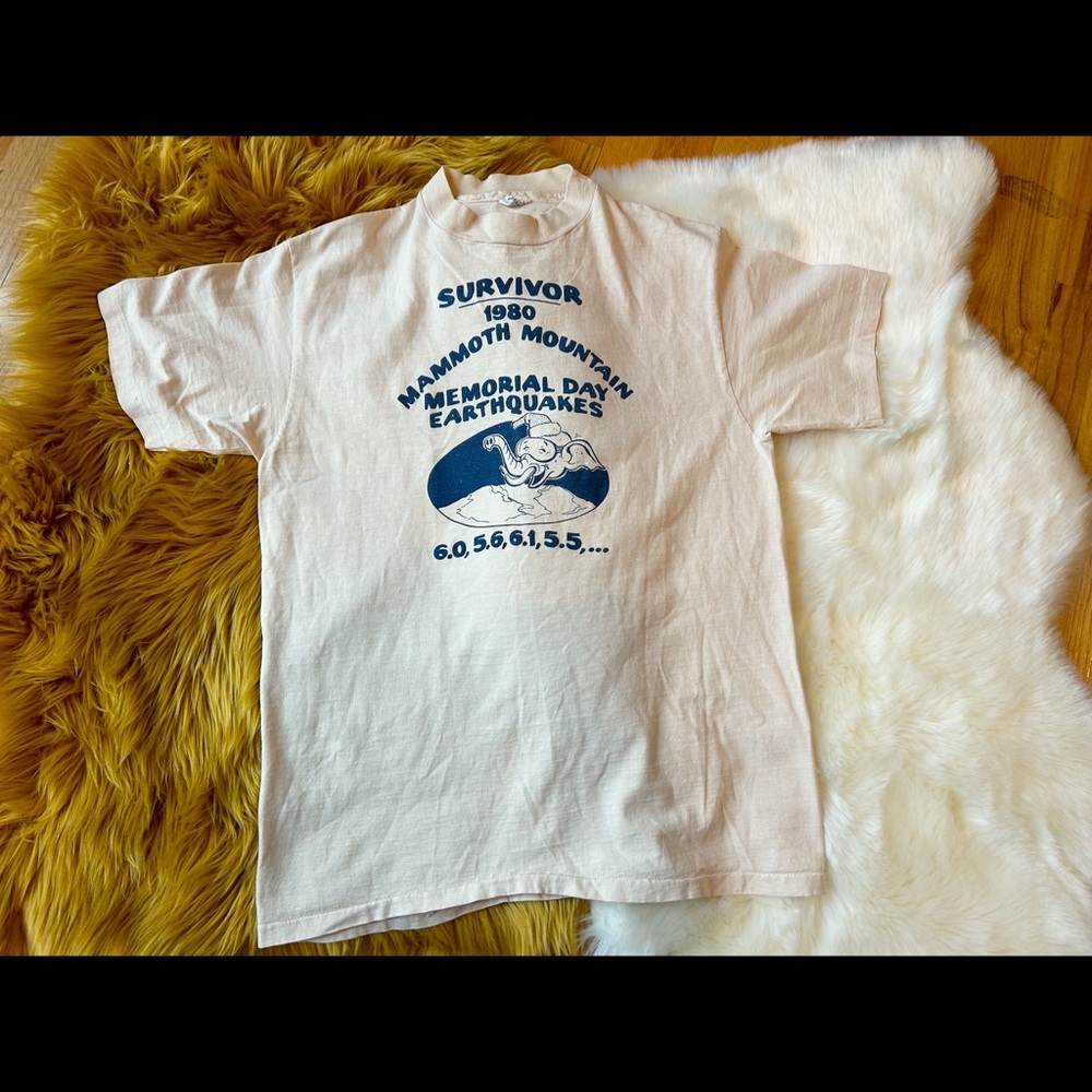 Vintage 80s ski tee